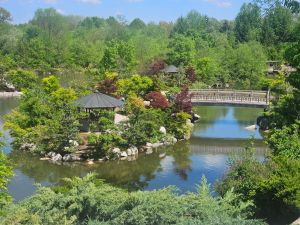 Grand Rapids landscape